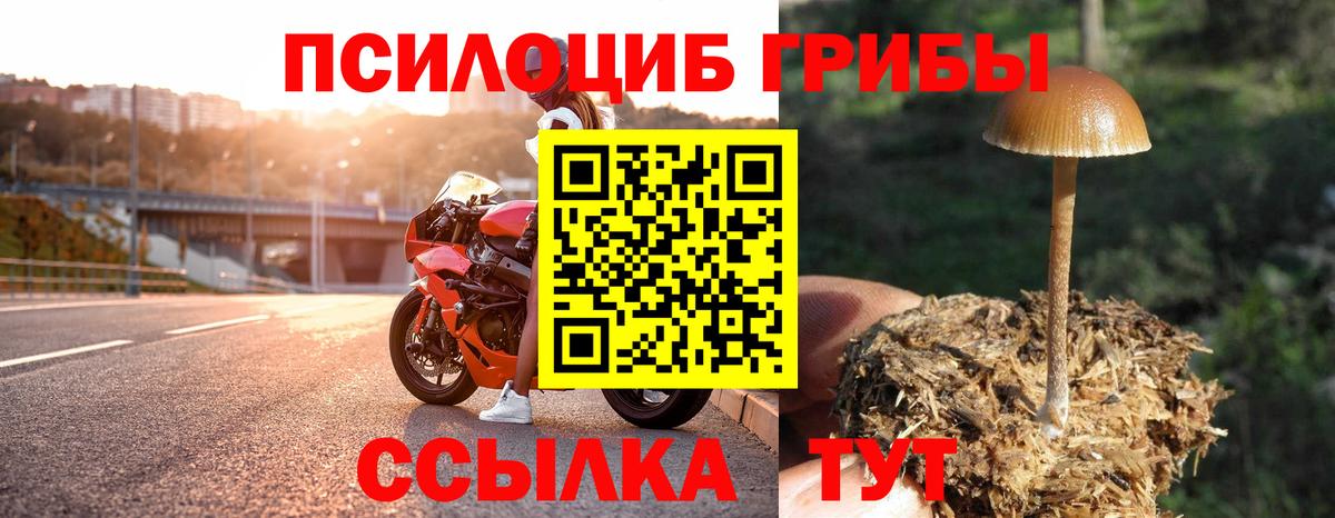 Галлюциногенные грибы прущие грибы  как найти закладки  Псилоцибиновые грибы GOLDEN TEACHER  Озёры  Вход с VPN 